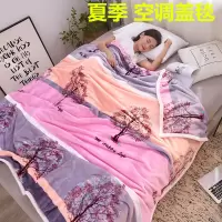 法兰绒金貂绒毛毯床单冬季加密保暖双人午睡毯夏被加绒床单单件