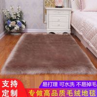加厚长毛绒地毯卧室飘窗沙发垫阳台地垫客厅房间床边仿羊毛毯家用