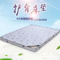 天然椰棕床垫1.5米1.8米床垫棕垫双人偏硬儿童单人折叠可定做加厚