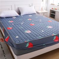 床笠夹棉加厚床罩单件床垫套席梦思保护套家用双人亲肤透气防尘罩