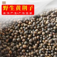 黄荆子 5斤枕芯枕头填充物布惊籽布荆仁黄金子普姜籽荆棵种婴儿枕