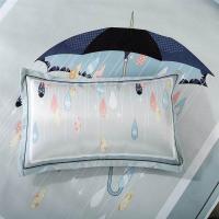 新品夏季冰丝凉爽单人枕套凉席枕套