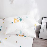 全棉一对装纯棉ins枕套学生单人枕头套成人枕罩枕巾枕芯套罩