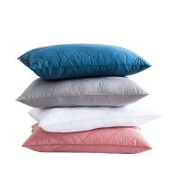 枕芯一对内胆成人家用酒店枕头学生宿舍软枕头送枕套可拆洗带拉链
