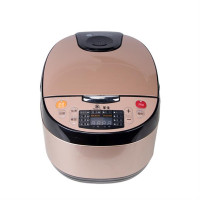 华生智能电饭煲HQ-CF5008金色