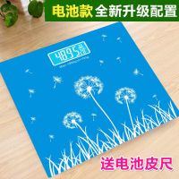 体重计电子秤精准人体秤成人电子称体重秤健康秤家用|蒲公英16【电池款】送电池和皮尺