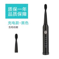 超声波软毛电动牙刷充电式懒人儿童通用洁齿神器自动智能防水成人|黑银色 五档四刷头座充