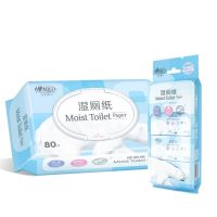 女性经期私处清洁湿厕纸房事厕湿巾卫生湿巾成人男女用|迷你8包+家用1包