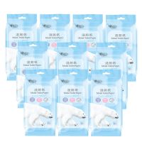 女性经期私处清洁湿厕纸房事厕湿巾卫生湿巾成人男女用|独立装10包100片