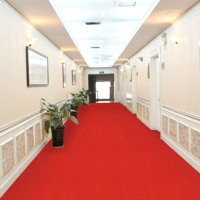 防滑垫pvc塑料红地毯卫生间厕所门垫s大面积浴室防水厨房防滑地垫