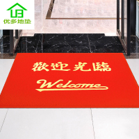 欢迎光临进门垫防滑地垫出入平安脚垫大门口迎宾入户塑料丝圈地毯
