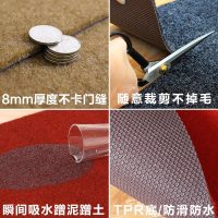 入门地垫进门地垫门口厨房吸水地毯门垫门厅防滑垫踩脚垫定制家用
