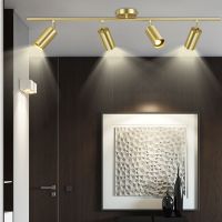 北欧金色射灯轨道灯家用明装led天花灯客厅店铺商用金色吸顶灯