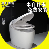 智能马桶全自动冲水洁身烘干座便器250-400坑距孔距通用