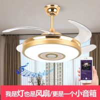 吊扇灯餐厅隐形风扇灯客厅卧室简约现代家用大风力带灯电风扇吊灯