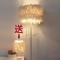 水晶羽毛白色立式落地灯婚庆客厅书房卧室床头台灯美容主播补光灯