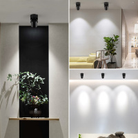 明装射灯店铺led顶灯商用 北欧可旋转个性创意客厅玄关射灯家用