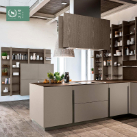 上海轻奢整体橱柜现代开放式灰色哑光烤漆厨柜环保全屋定制|预约测量设计 1米