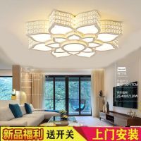 客厅灯led水晶2020新款led吸顶灯卧室灯全屋套餐灯具花型吸顶灯