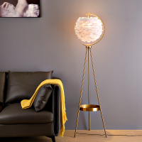 羽毛落地灯客厅卧室公主北欧轻奢网红ins少女房间床头装饰铜台灯