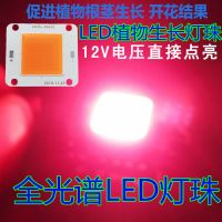 12vled灯珠20w30w50w100wled集成光源灯芯12vled投光灯射灯路灯板