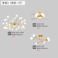 北欧灯具简约现代风格客厅吊灯led餐厅卧室灯饰全屋套装套餐组合|套餐3[两室一厅]白光