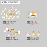 北欧灯具简约现代风格客厅吊灯led餐厅卧室灯饰全屋套装套餐组合|套餐9【两室两厅】白光