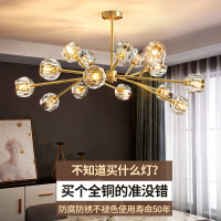 后现代轻奢水晶灯全铜客厅餐厅灯饰卧室大气北欧网红魔豆分子吊灯