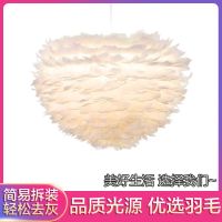 羽毛灯卧室客厅网红个性吊灯灯泡温馨创意装饰家用灯北欧简约灯具