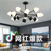客厅吊灯简约现代大气家用led灯创意餐厅卧室灯北欧风格吸顶灯具