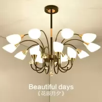 后现代简约客厅吊灯创意欧式卧室灯轻奢大气家用餐厅灯具北欧吊灯