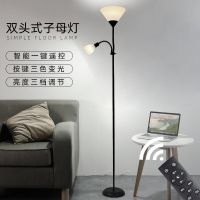 双头子母落地灯客厅卧室床头书房现代简约遥控护眼学习立式台灯