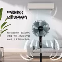 电风扇落地扇家用立式静音台式遥控扇宿舍摇头电扇大风力