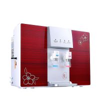 ro加热一体反渗透ro纯水机管线一体净水器净水机过滤器|八级红色标准版 师傅上门安装