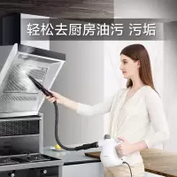高温蒸汽清洁机 高压家用消毒厨房油烟机清洗机 sch20a-10