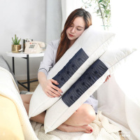 [苏宁特共]决明子枕头枕芯一对装一只装枕套护颈枕助眠单人枕保健枕