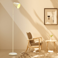 落地灯北欧客厅卧室立式台灯床头ins风极现代简约轻奢创意沙