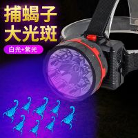 蝎子灯捕蝎捉逮抓照蝎子专用紫光灯白光两用充电手电筒