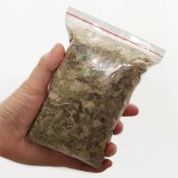 专用土1袋[不含捕蝇草|捕蝇草盆栽猪笼草巨型食人花夏季室内驱蚊虫植物食虫草驱蚊草绿植