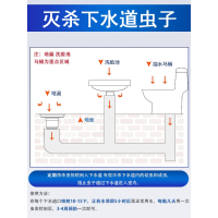 厕所下水道蛾蠓杀虫剂卫生间小飞虫除虫神器家用灭杀潮虫防驱蛾蚋