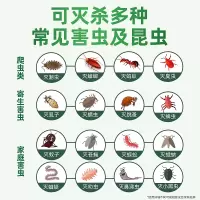 杀虫剂家用床上灭蚂蚁除跳蚤杀蟑螂药喷剂驱喷雾去神器室内非