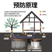 白蚁药杀虫剂室内家用诱杀防治专用药粉传染消灭园林克星神器