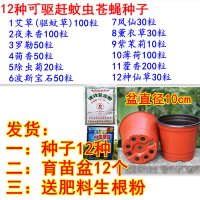 12种种子+12个育苗盆+送肥粉 不含盆|驱蚊草种子 草花种籽阳台盆栽庭院除虫菊艾草四季播驱蚊植物组合