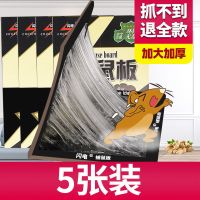 高效粘鼠板(大尺寸)5张|老鼠夹子捕鼠器强力粘鼠板捉鼠神器一窝端家用高效逮老鼠笼子克星