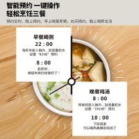 爱家乐新加坡爱家乐全自动家用玻璃快慢炖肉锅智能预约煲汤煮粥煎药膳电炖锅养生炖汤锅1.8L 加厚版