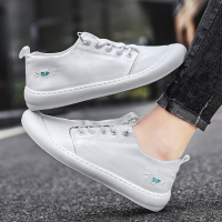 鑫恩尚男鞋夏季透气薄款2020新款韩版百搭潮流小白鞋男士休闲冰丝帆布鞋