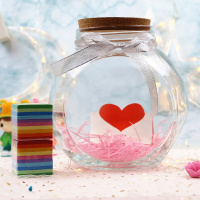 幸运星星折纸玻璃瓶创意许愿瓶成品纸鹤瓶生日礼品送男女朋友同学|大号+鹤纸1040张送灯