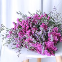 云南大束勿忘我鲜花干花真花花束天然干插花论斤卖永生花|[优质]红+情人草[2斤装买2束送配草]