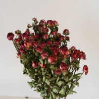 云南干花蔷薇干花多头钻石小玫瑰客厅、办公室等装饰花材|巧克力30朵