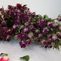 云南干花蔷薇干花多头钻石小玫瑰客厅、办公室等装饰花材|波赛丽娜30朵